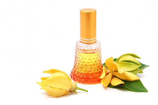Ylang Ylang Oil