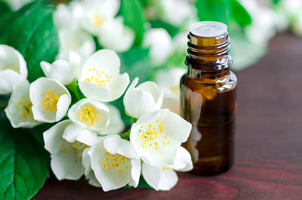 Jasmine Oil